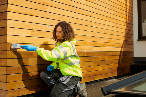 Best Siding Painting and Refinishing  in Minneota, MN